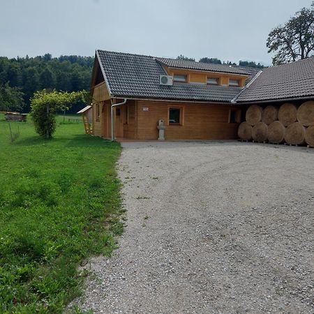 Apartma Markelj Radovljica Exterior foto